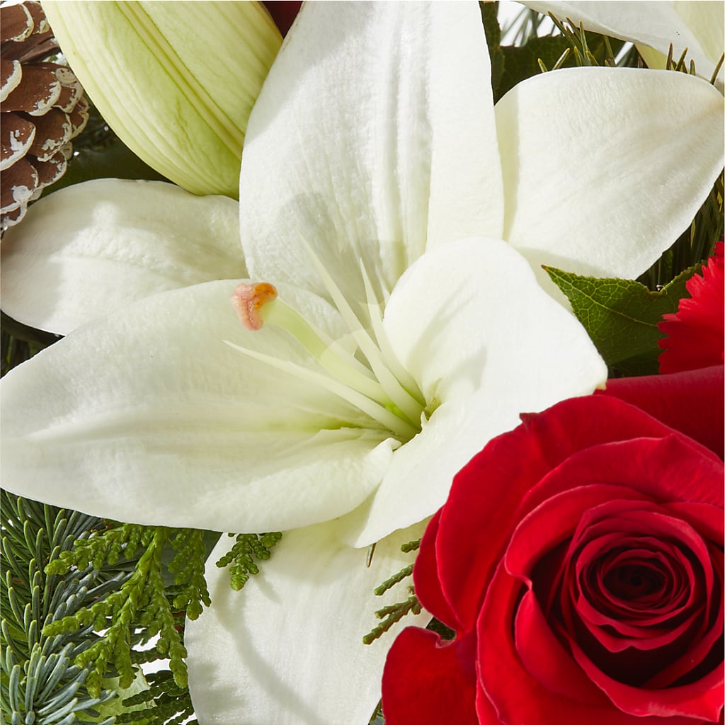 Oh So Jolly Bouquet –  All Season Floral Llc, Saranac Lake NY