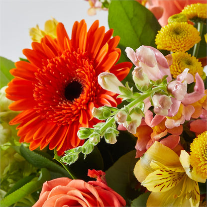 Autumn Sunshine Bouquet –  All Season Floral Llc, Saranac Lake NY