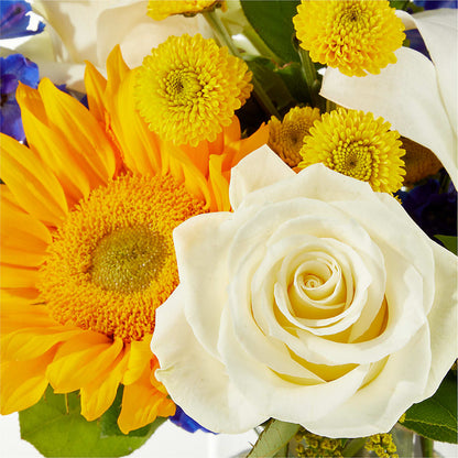 Stargazing Bouquet –  All Season Floral Llc, Saranac Lake NY