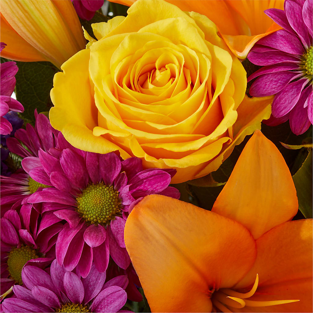 Colorful Visions Bouquet –  All Season Floral Llc, Saranac Lake NY