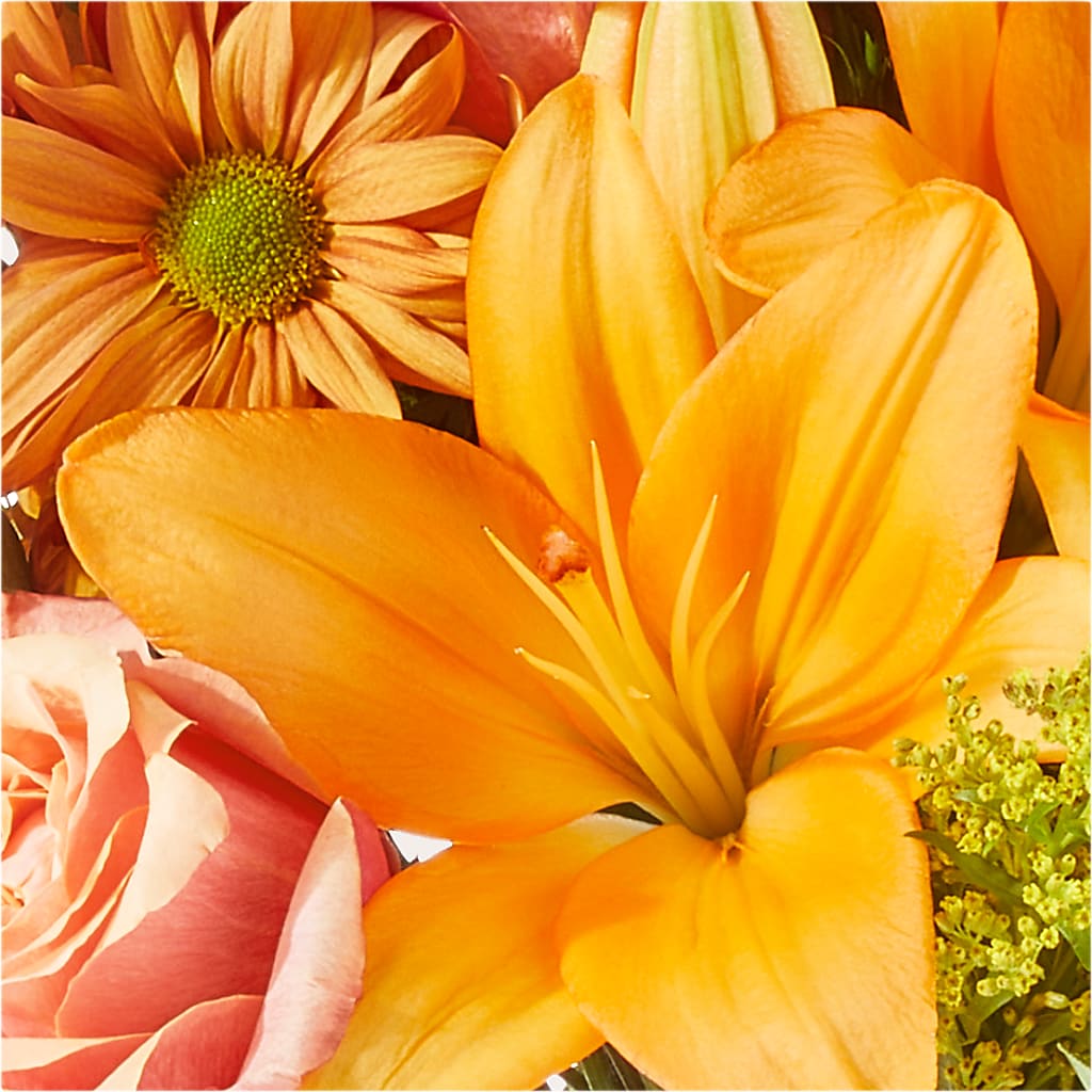 Harvest Hayride Bouquet –  All Season Floral Llc, Saranac Lake NY