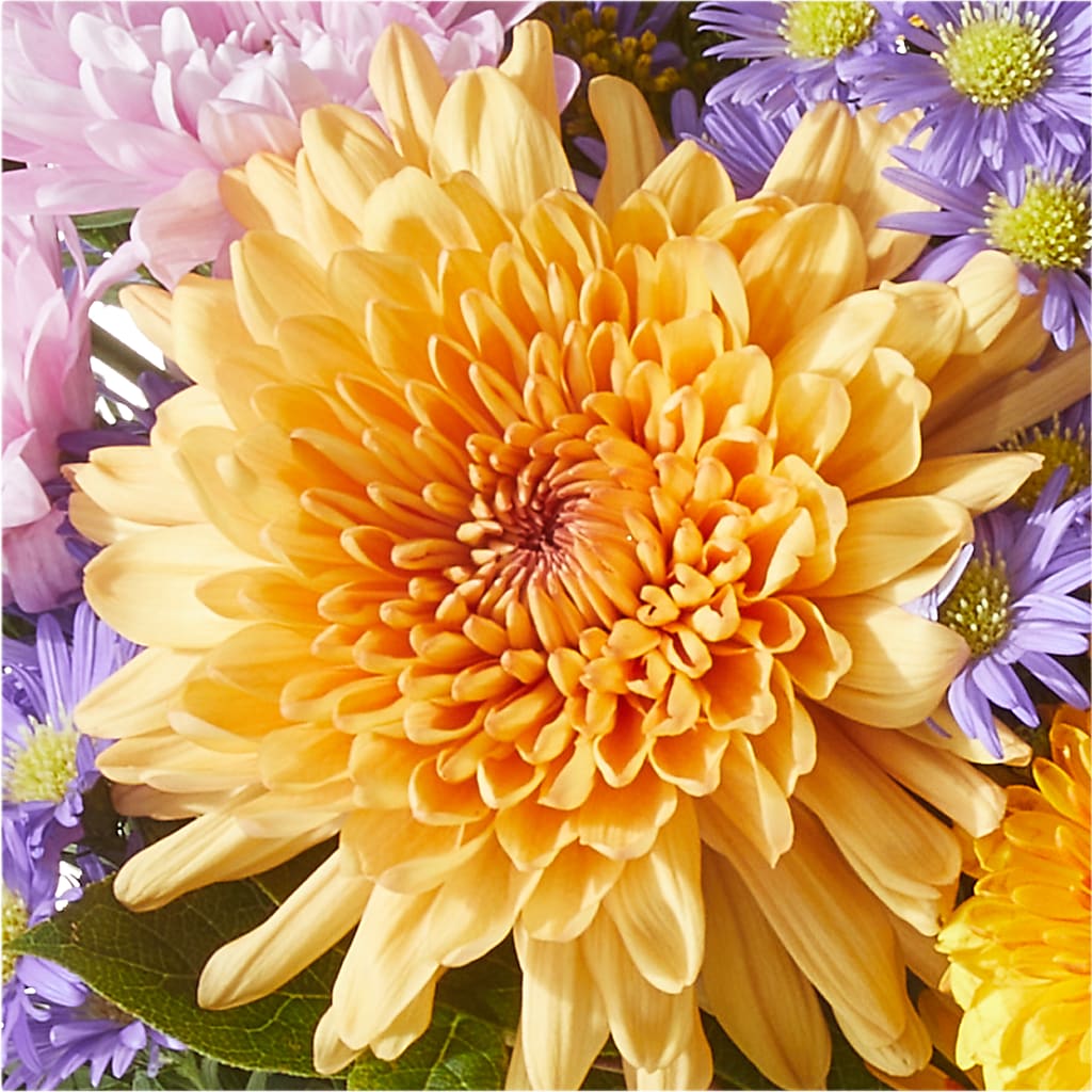 Countryside Bouquet –  All Season Floral Llc, Saranac Lake NY