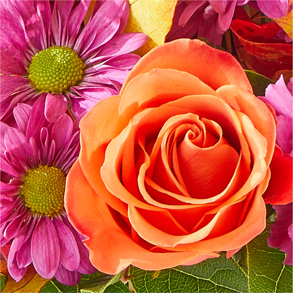 Mum's the Word Bouquet –  All Season Floral Llc, Saranac Lake NY