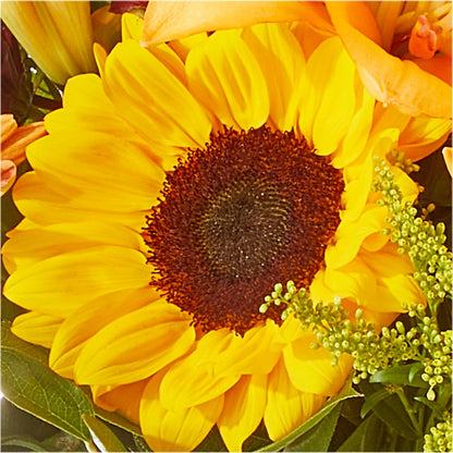 Seasons Change Bouquet –  All Season Floral Llc, Saranac Lake NY