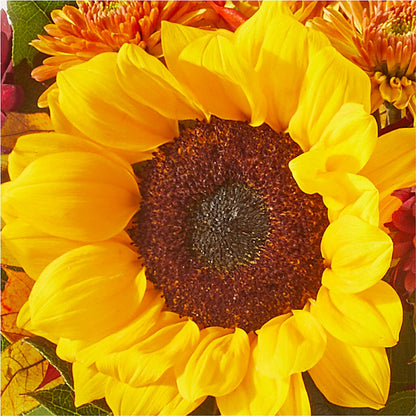 Sunny Side Bouquet –  All Season Floral Llc, Saranac Lake NY