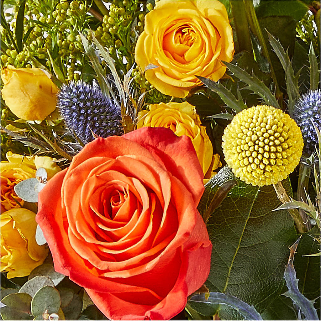 Disco Bouquet –  All Season Floral Llc, Saranac Lake NY