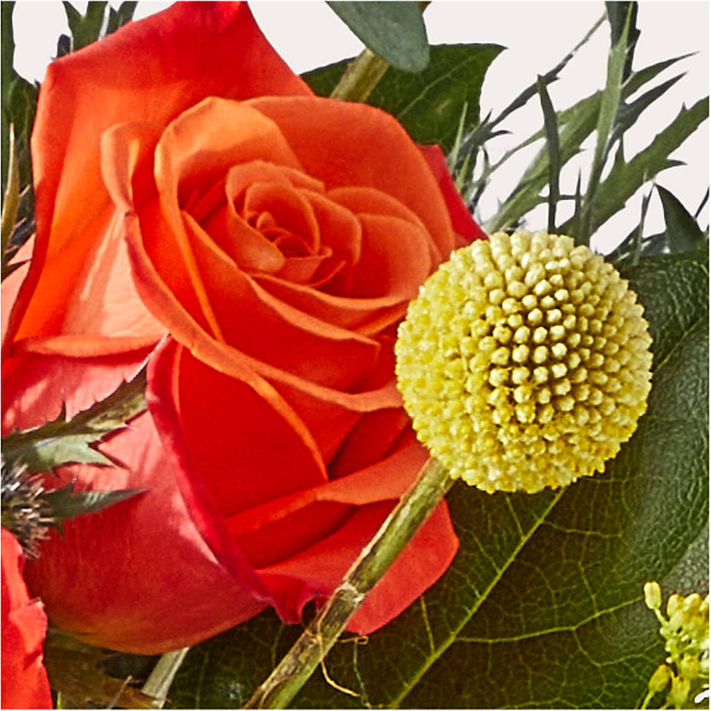 Disco Bouquet –  All Season Floral Llc, Saranac Lake NY