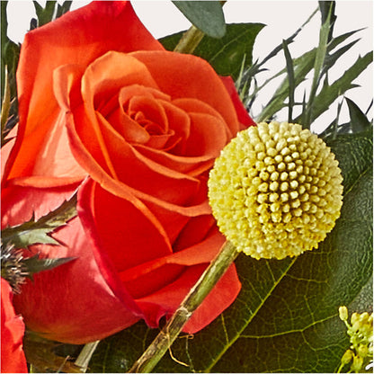 Disco Bouquet –  All Season Floral Llc, Saranac Lake NY