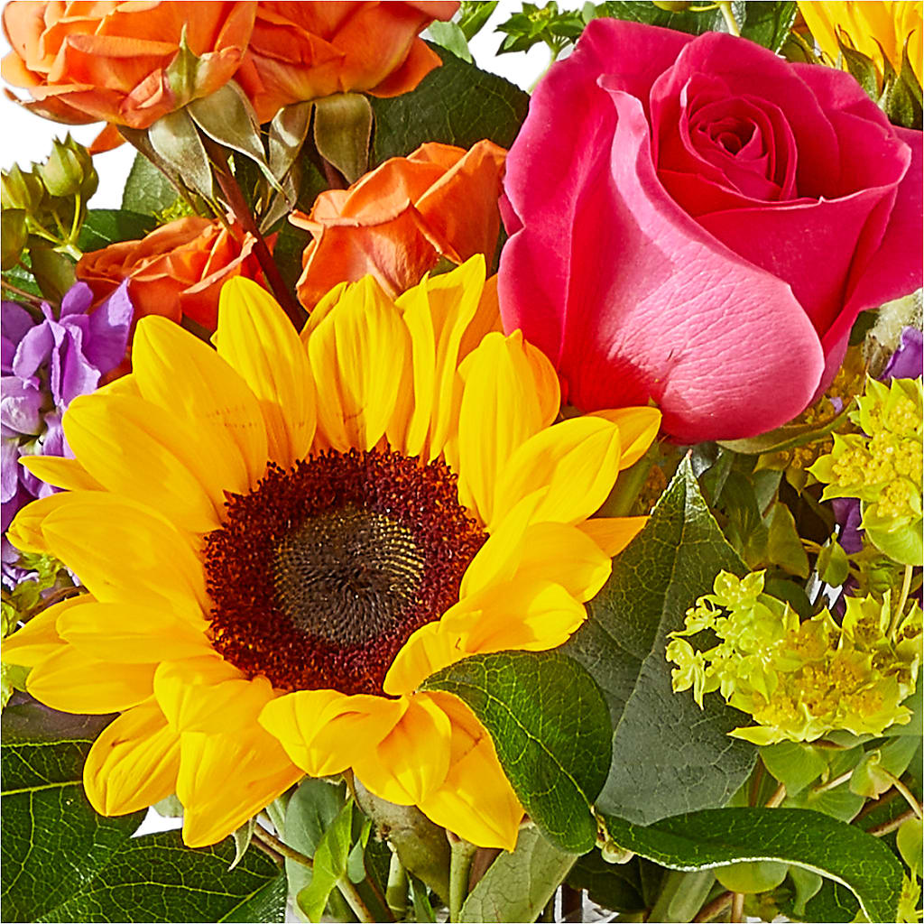 Vibrant Greetings Bouquet –  All Season Floral Llc, Saranac Lake NY