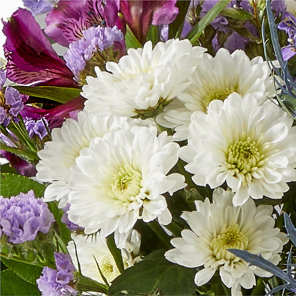 Shooting Star Bouquet –  All Season Floral Llc, Saranac Lake NY