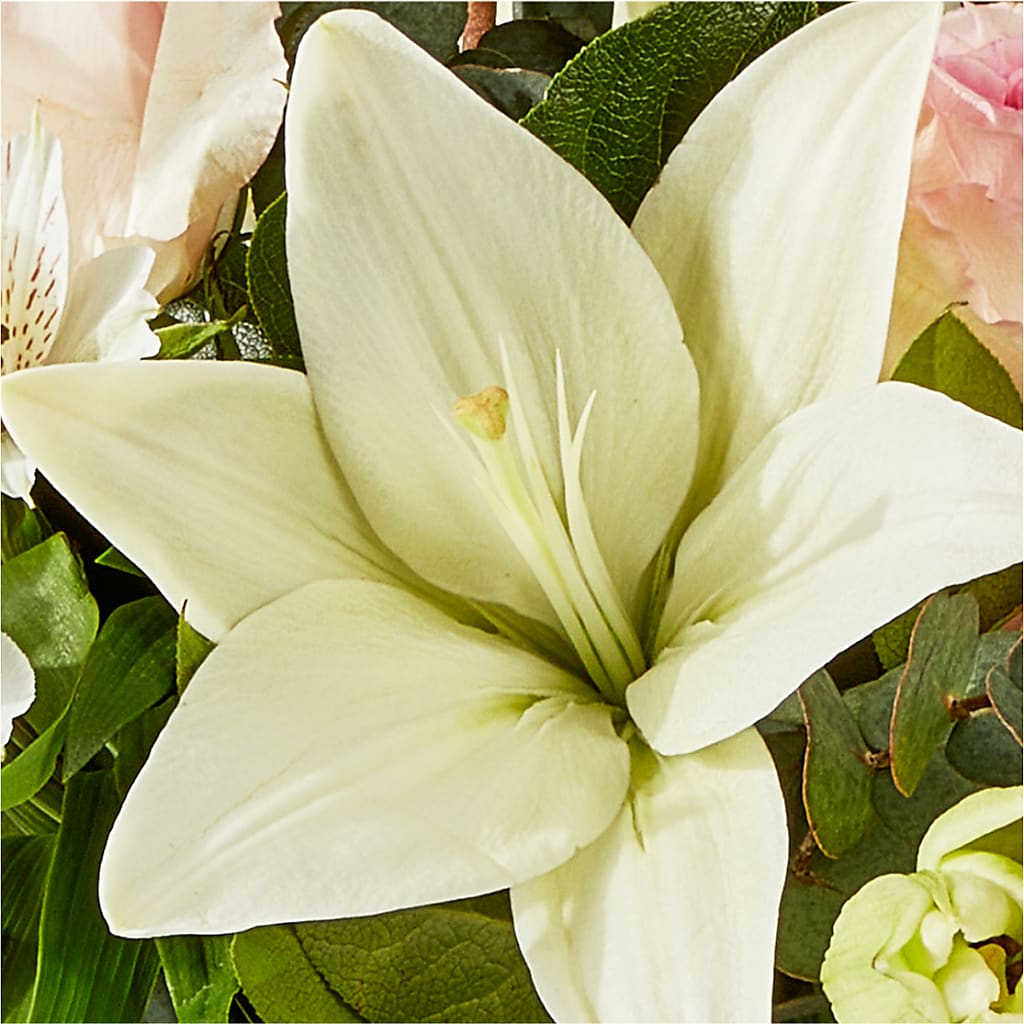 Ballet Slippers Bouquet –  All Season Floral Llc, Saranac Lake NY