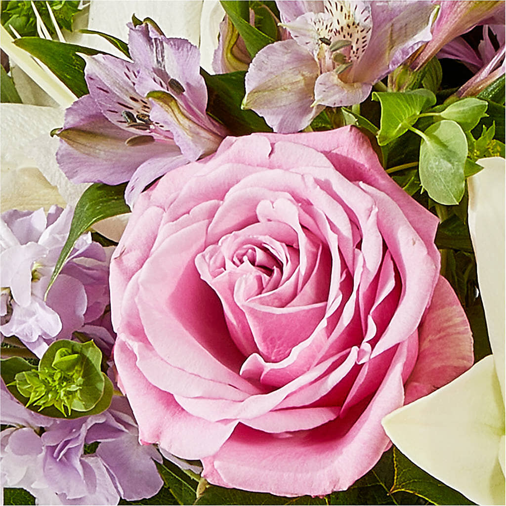 Daydreamer Bouquet –  All Season Floral Llc, Saranac Lake NY