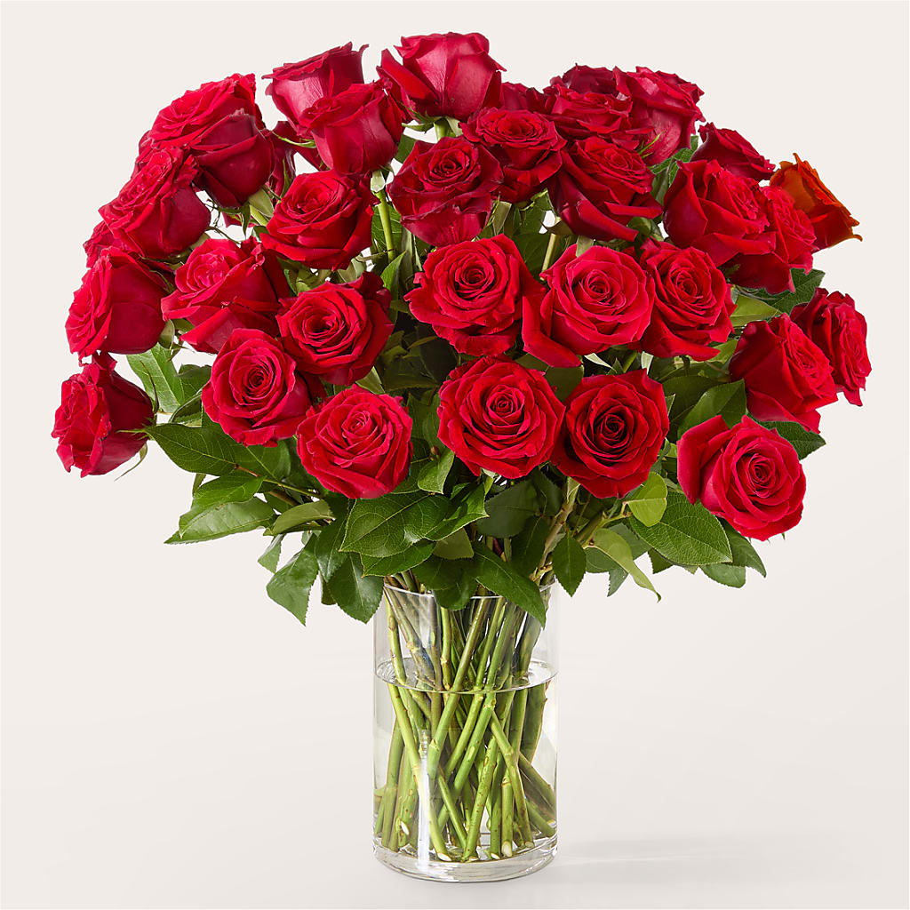 The One Red Rose Bouquet –  All Season Floral Llc, Saranac Lake NY