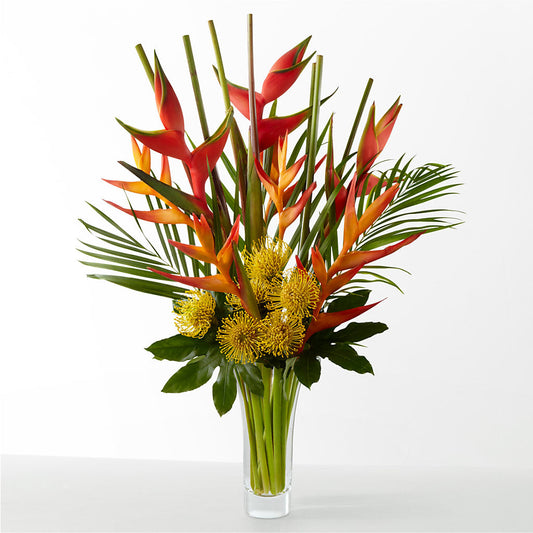 The Drama –  All Season Floral Llc, Saranac Lake NY
