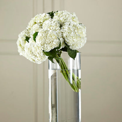 White Hydrangea Hand-Tied Bouquet –  All Season Floral Llc, Saranac Lake NY