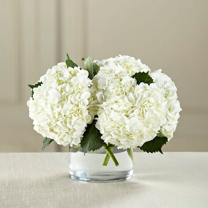 White Hydrangea Bouquet –  All Season Floral Llc, Saranac Lake NY