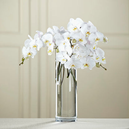 White Phalaenopsis Bouquet –  All Season Floral Llc, Saranac Lake NY